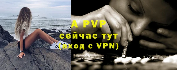 стаф Дмитров