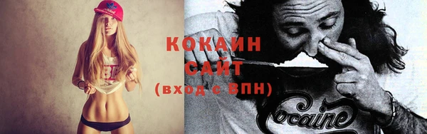 стаф Дмитров