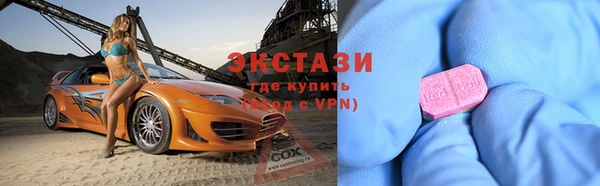 стаф Дмитров