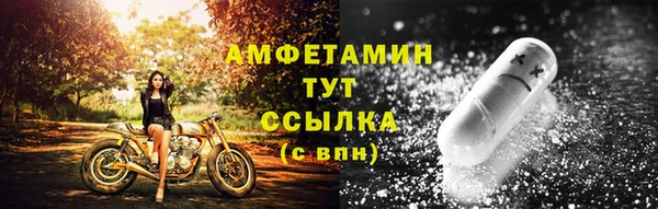 стаф Дмитров