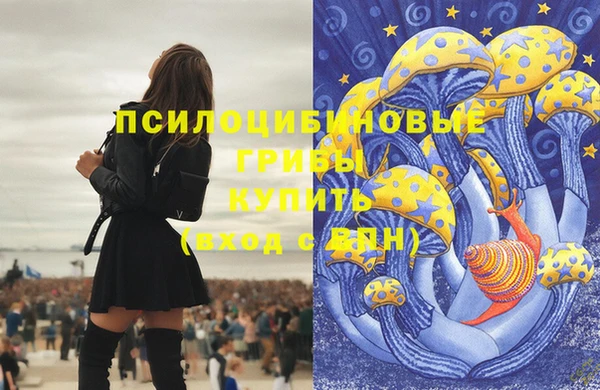 стаф Дмитров